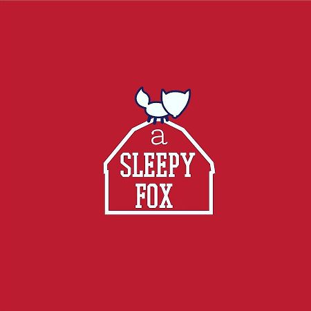 Albergue A Sleepy Fox Nueva Delhi Exterior foto