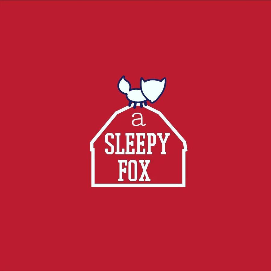 Albergue A Sleepy Fox Nueva Delhi Exterior foto